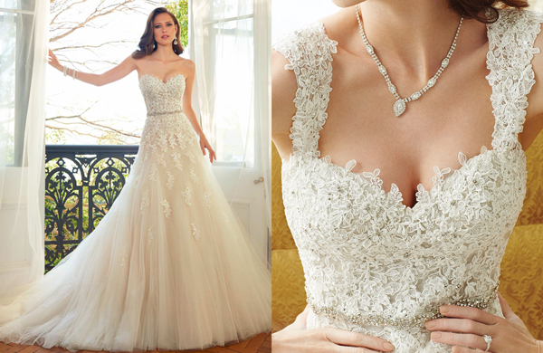 Y11552 Sophia Tolli Look Book